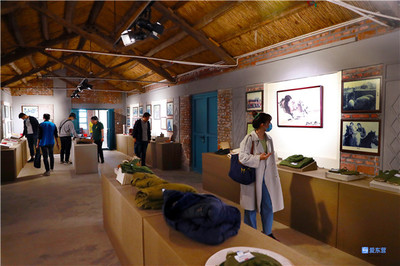 東營·來自重點工程項目一線的報道 | 黃河口生態旅游區 擦亮“黃河入海、我們回家”品牌，展覽服務助力生態文旅升級