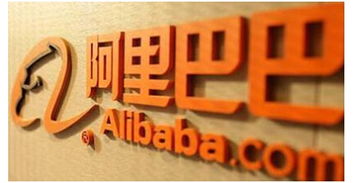 上海辛齋信息進軍電商人才服務領域